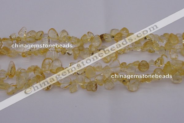 CCH612 15.5 inches 6*8mm - 10*14mm citrine chips gemstone beads