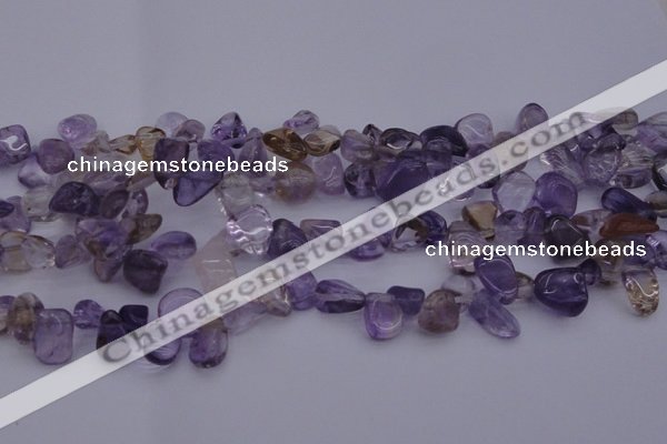 CCH614 15.5 inches 6*8mm - 10*14mm ametrine chips gemstone beads