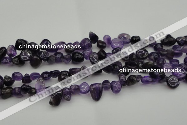 CCH615 15.5 inches 6*8mm - 10*14mm amethyst chips gemstone beads