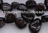 CCH617 15.5 inches 6*8mm - 10*14mm garnet chips gemstone beads