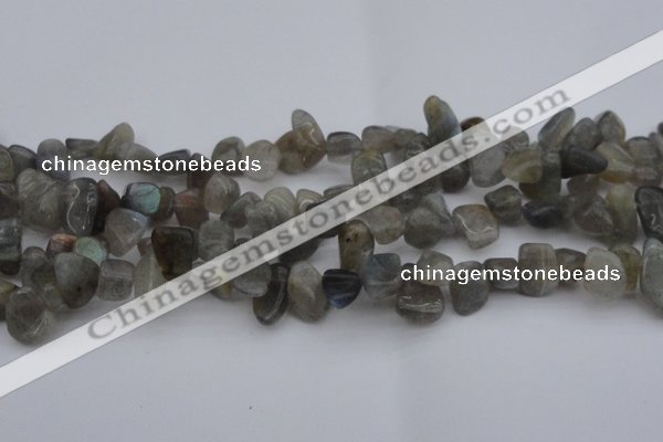 CCH618 15.5 inches 6*8mm - 10*14mm labradorite chips gemstone beads