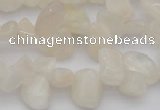 CCH624 15.5 inches 6*8mm - 10*14mm white moonstone chips beads