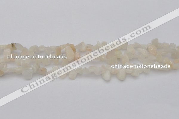 CCH624 15.5 inches 6*8mm - 10*14mm white moonstone chips beads