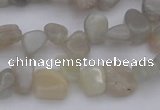 CCH625 15.5 inches 6*8mm - 10*14mm grey moonstone chips beads