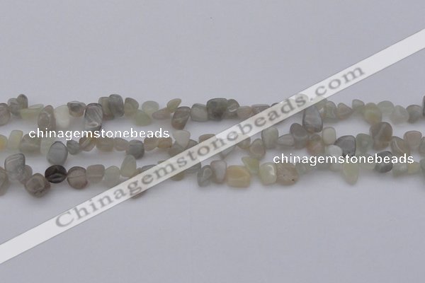 CCH625 15.5 inches 6*8mm - 10*14mm grey moonstone chips beads