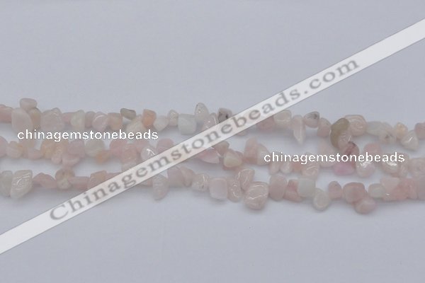 CCH626 15.5 inches 6*8mm - 10*14mm morganite gemstone chips beads