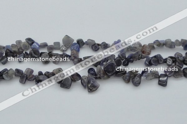 CCH627 15.5 inches 6*8mm - 10*14mm iolite gemstone chips beads