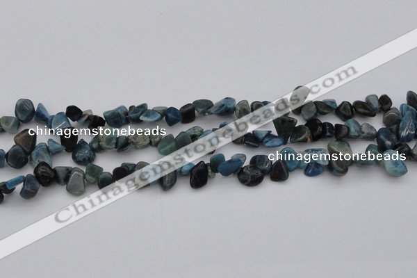 CCH628 15.5 inches 6*8mm - 10*14mm apatite gemstone chips beads