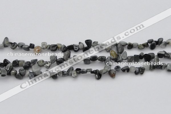 CCH633 15.5 inches 6*8mm - 10*14mm eagle eye jasper chips beads