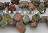 CCH636 15.5 inches 6*8mm - 10*14mm unakite gemstone chips beads