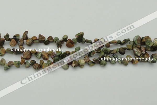 CCH637 15.5 inches 6*8mm - 10*14mm rhyolite gemstone chips beads