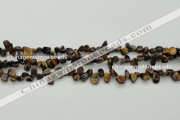 CCH638 15.5 inches 6*8mm - 10*14mm yellow tiger eye chips beads