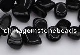 CCH640 15.5 inches 6*8mm - 10*14mm black agate chips beads