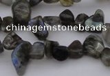 CCH642 15.5 inches 6*8mm - 10*14mm labradorite chips beads