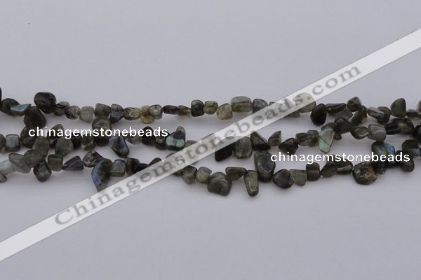 CCH642 15.5 inches 6*8mm - 10*14mm labradorite chips beads