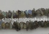 CCH645 15.5 inches 4*6mm - 5*8mm labradorite chips beads