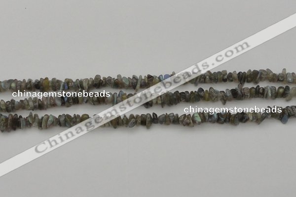 CCH645 15.5 inches 4*6mm - 5*8mm labradorite chips beads