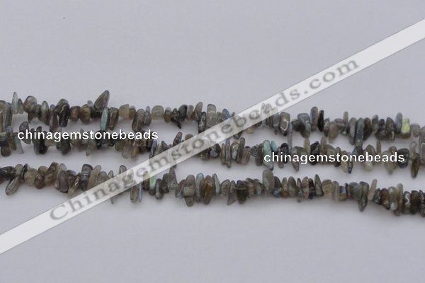 CCH646 15.5 inches 4*10mm - 6*14mm labradorite chips beads