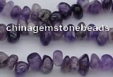 CCH649 15.5 inches 4*6mm - 5*8mm amethyst gemstone chips beads