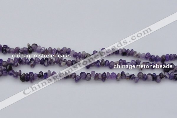 CCH649 15.5 inches 4*6mm - 5*8mm amethyst gemstone chips beads