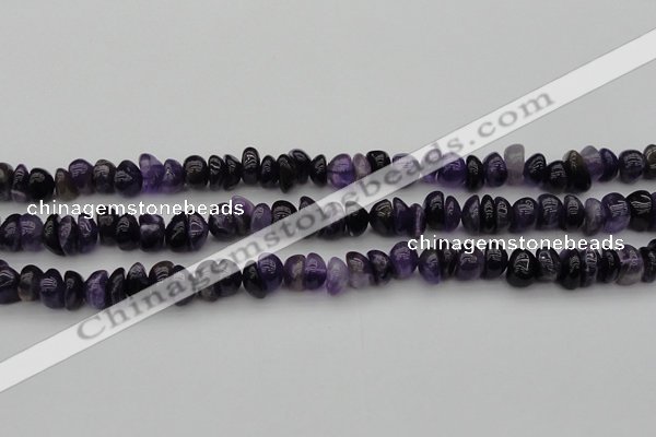 CCH650 15.5 inches 4*6mm - 5*8mm amethyst gemstone chips beads