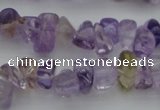 CCH652 15.5 inches 8*12mm - 10*14mm ametrine gemstone chips beads