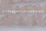 CCH653 15.5 inches 5*8mm - 6*10mm rose quartz chips beads