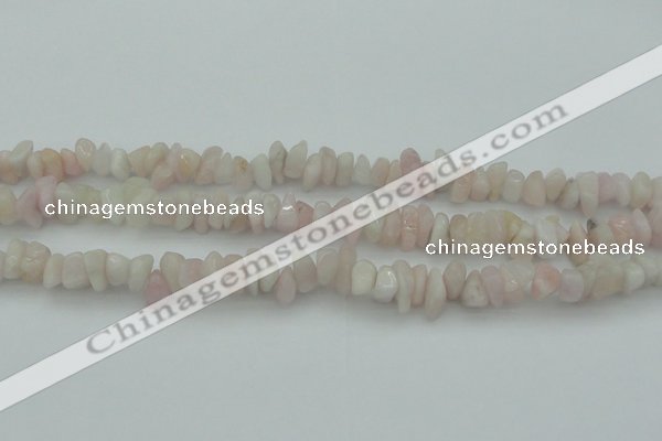 CCH657 15.5 inches 8*12mm - 10*14mm morganite gemstone chips beads