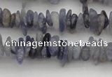 CCH658 15.5 inches 4*6mm - 5*8mm iolite gemstone chips beads