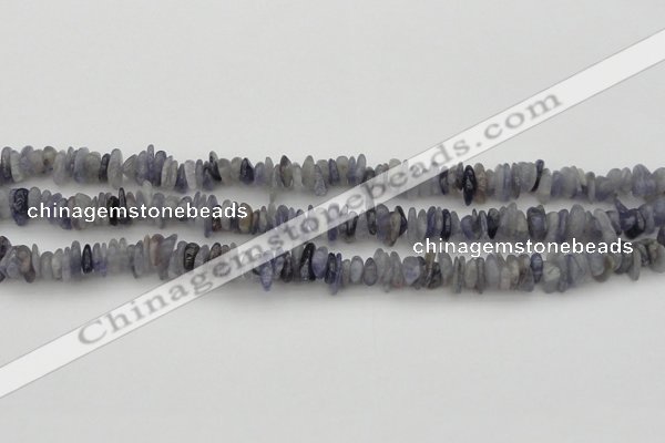 CCH658 15.5 inches 4*6mm - 5*8mm iolite gemstone chips beads