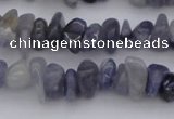 CCH659 15.5 inches 5*8mm - 6*10mm iolite gemstone chips beads