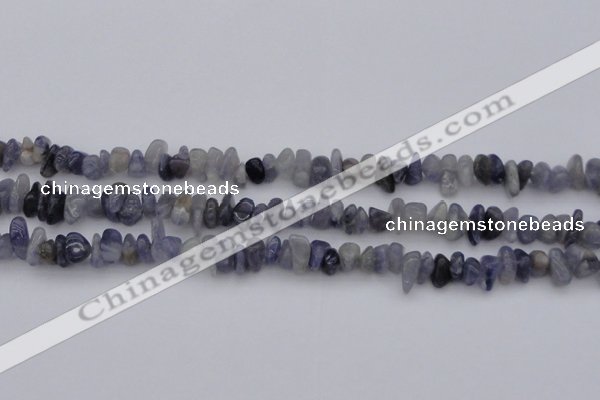 CCH659 15.5 inches 5*8mm - 6*10mm iolite gemstone chips beads