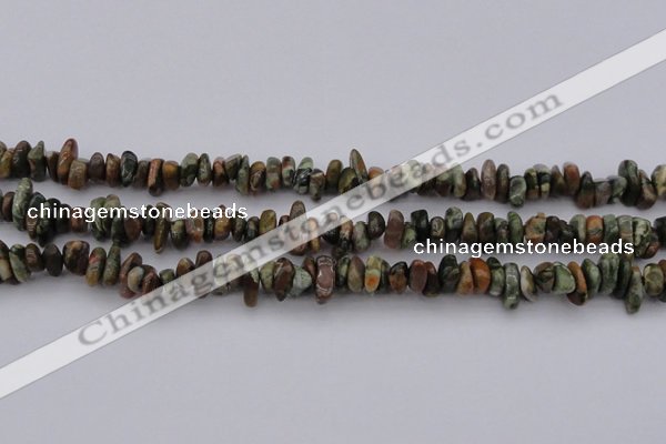 CCH662 15.5 inches 5*8mm - 6*10mm rhyolite gemstone chips beads