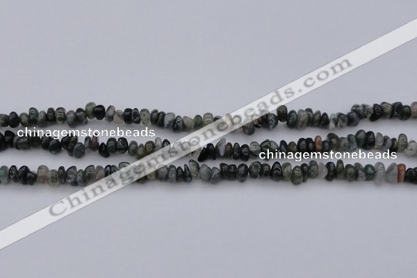 CCH663 15.5 inches 4*6mm - 5*8mm moss agate chips beads