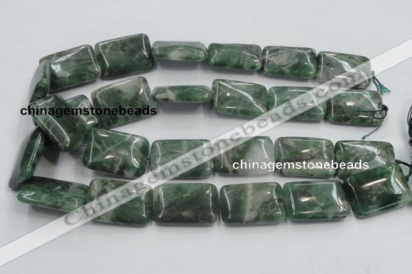 CCJ02 15.5 inches 22*30mm rectangle natural African jade beads wholesale