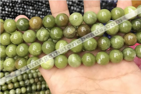 CCJ333 15.5 inches 10mm round green China jade beads wholesale