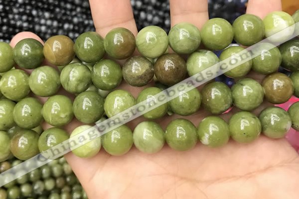 CCJ334 15.5 inches 12mm round green China jade beads wholesale