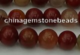 CCJ453 15.5 inches 10mm round colorful jasper beads wholesale