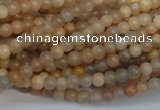 CCS301 15.5 inches 4mm round natural sunstone beads wholesale