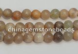 CCS302 15.5 inches 6mm round natural sunstone beads wholesale