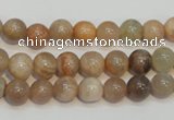 CCS303 15.5 inches 8mm round natural sunstone beads wholesale