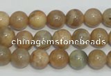 CCS304 15.5 inches 10mm round natural sunstone beads wholesale