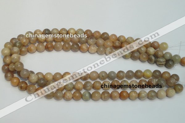 CCS304 15.5 inches 10mm round natural sunstone beads wholesale