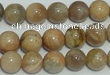 CCS305 15.5 inches 12mm round natural sunstone beads wholesale