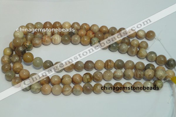 CCS305 15.5 inches 12mm round natural sunstone beads wholesale