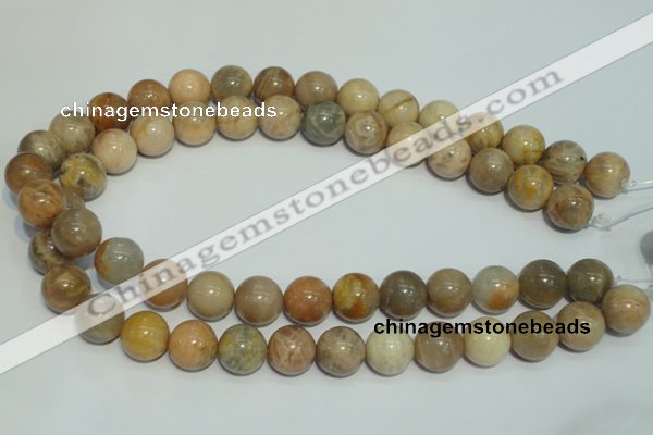 CCS306 15.5 inches 14mm round natural sunstone beads wholesale