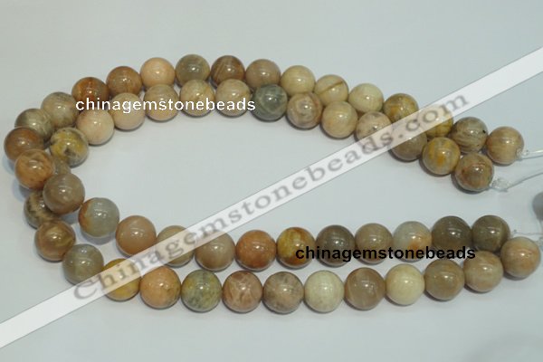 CCS307 15.5 inches 16mm round natural sunstone beads wholesale