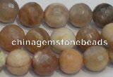 CCS313 15.5 inches 12mm faceted round natural sunstone beads