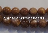 CCS353 15.5 inches 10mm round AB grade natural golden sunstone beads