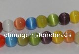 CCT1213 15 inches 4mm round cats eye beads wholesale